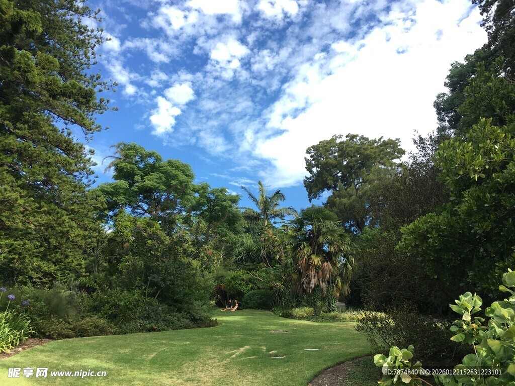 林间草地 蓝天白云美景