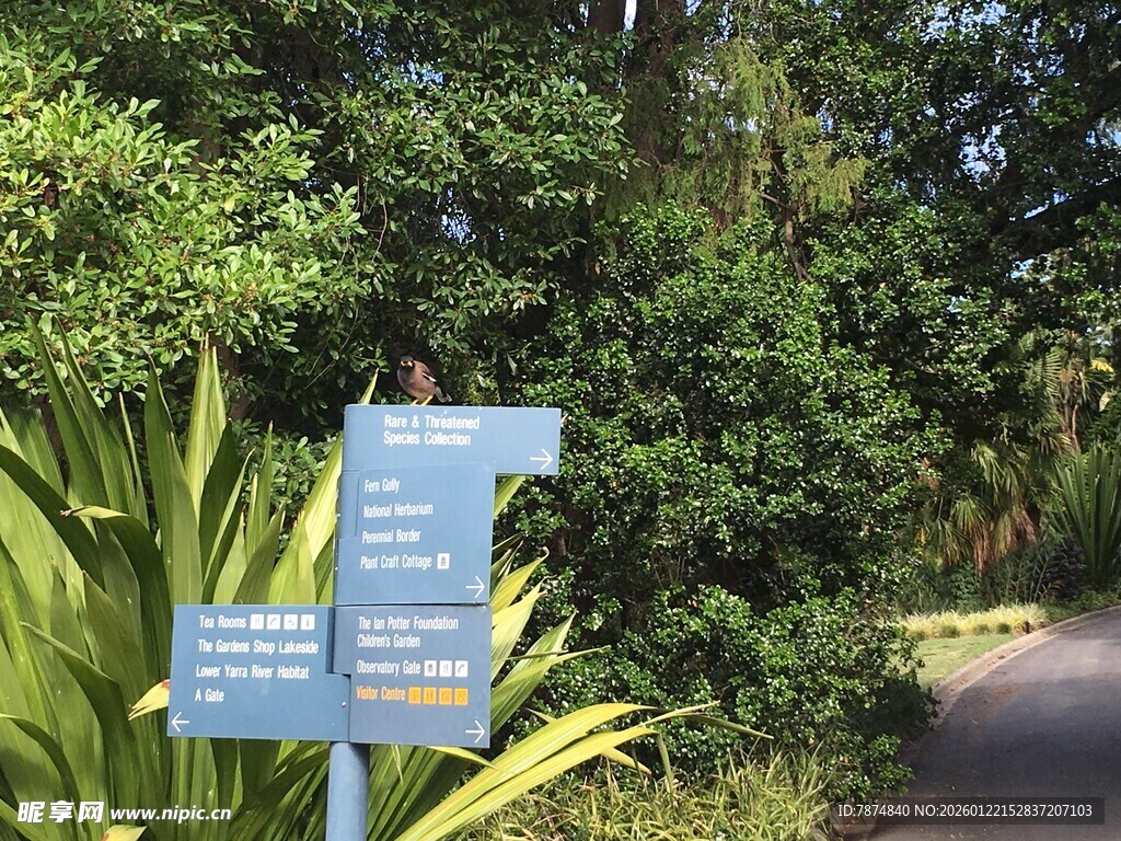 林间指路牌 开启自然之旅