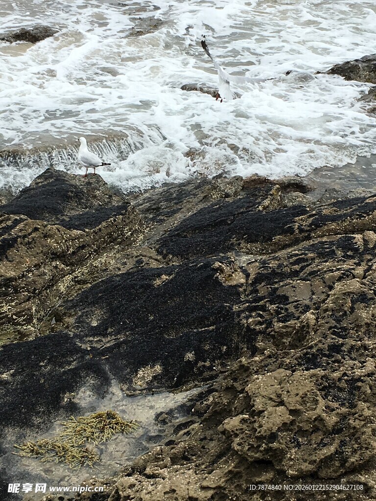 海边礁石与翻涌的浪花