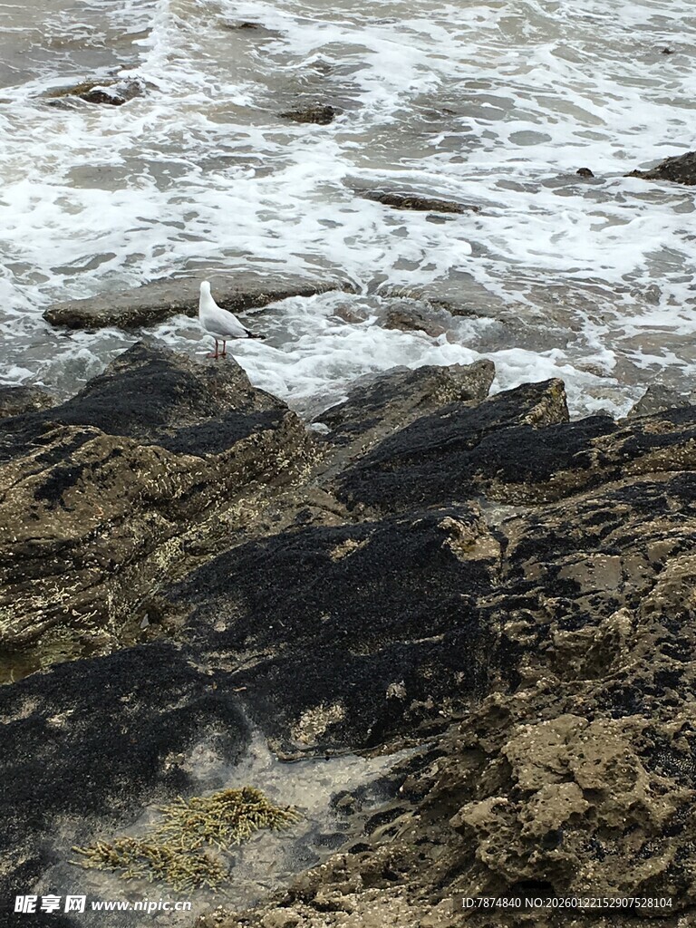 海滩上的沙石与海浪痕迹