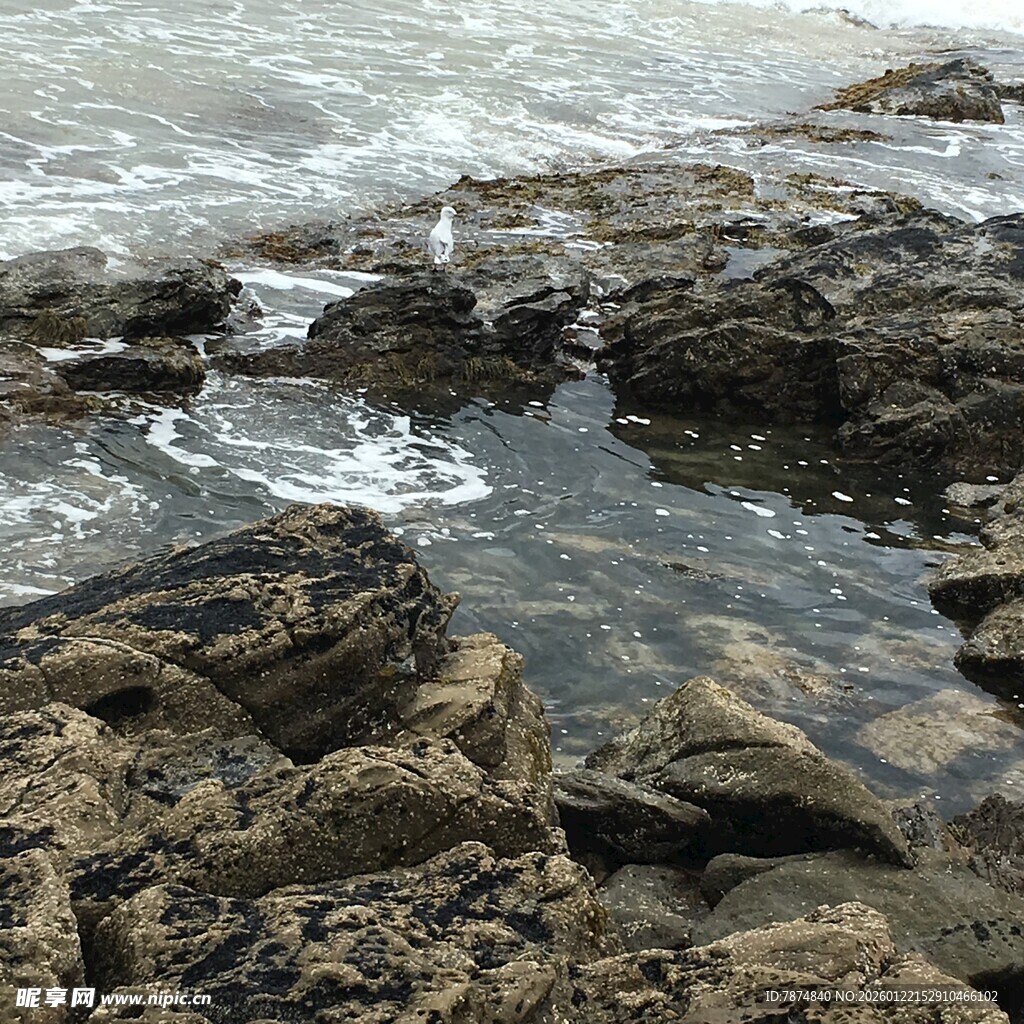 海边礁石与涌动的海水