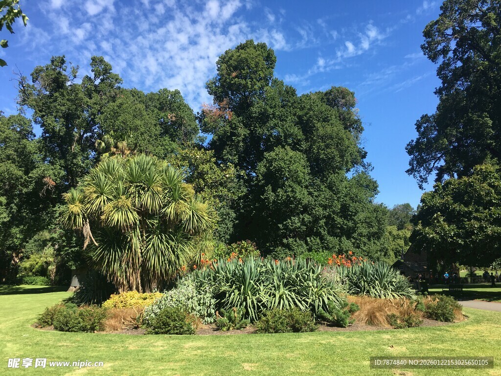 美丽户外园林景观