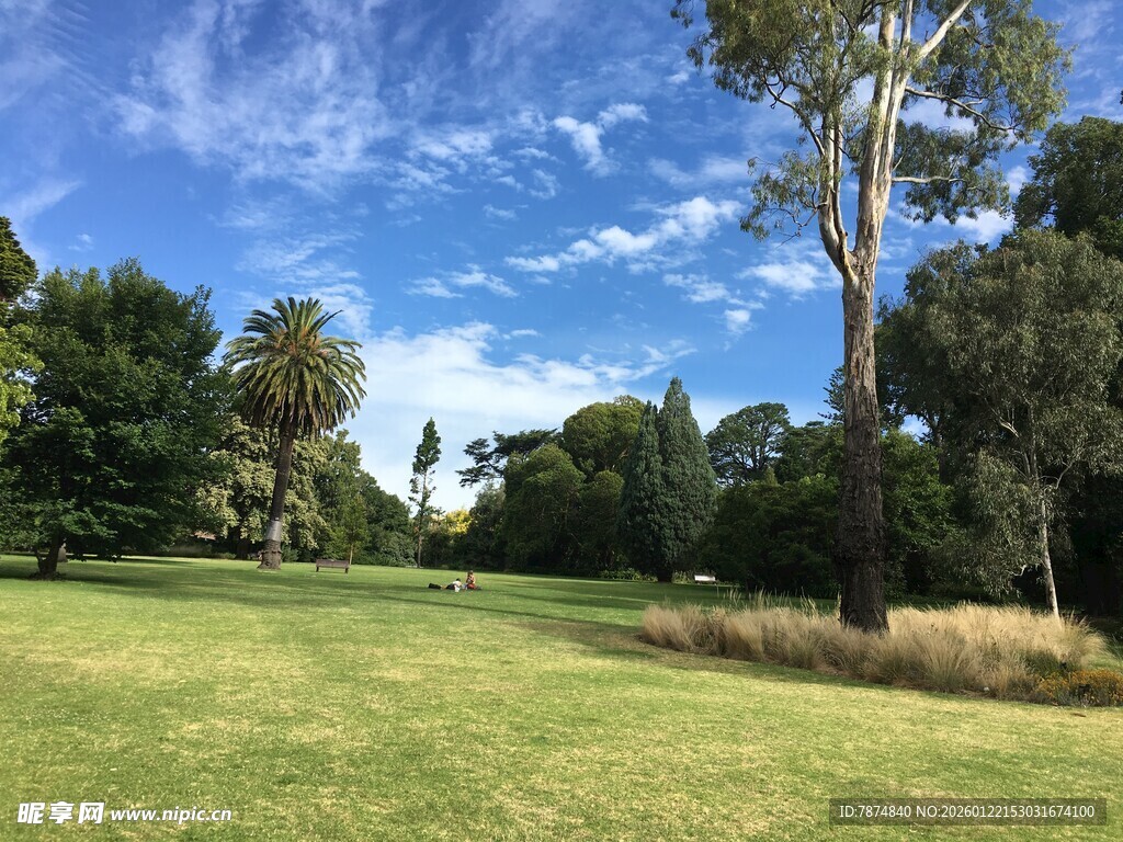 户外绿意盎然的开阔草地