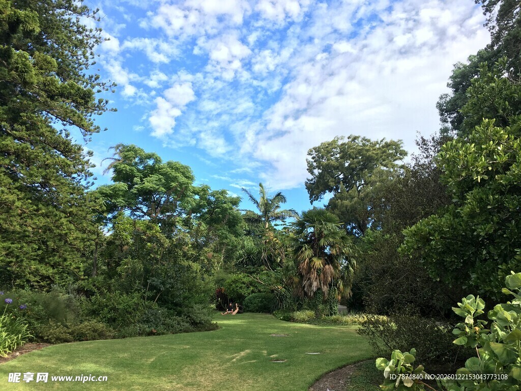 林间草地蓝天自然美景