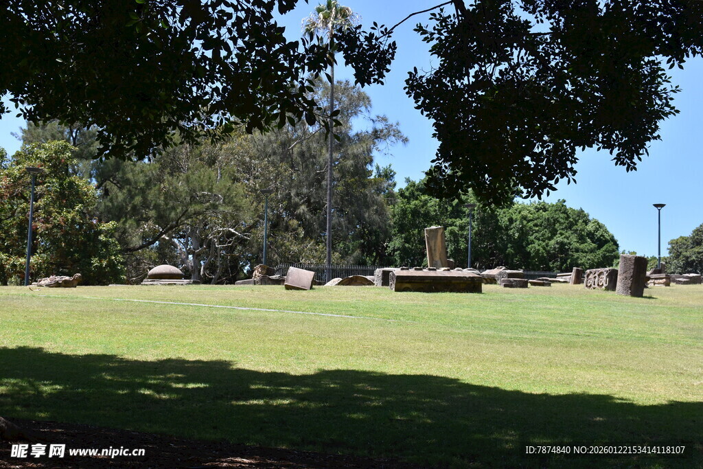 绿荫下的开阔草地风光