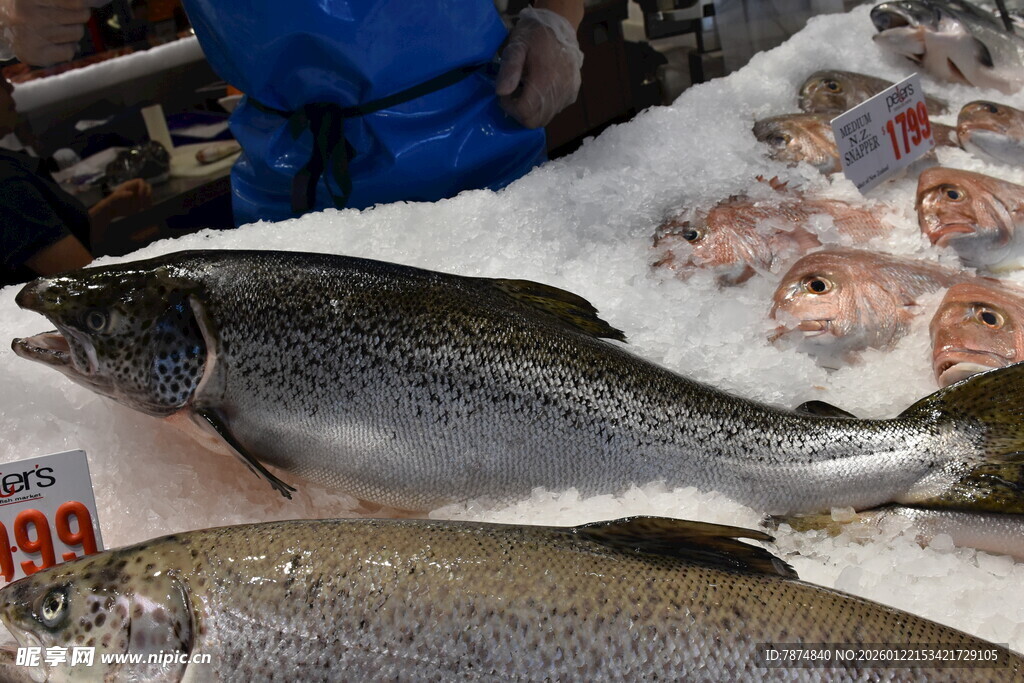市场中的新鲜鱼类展示