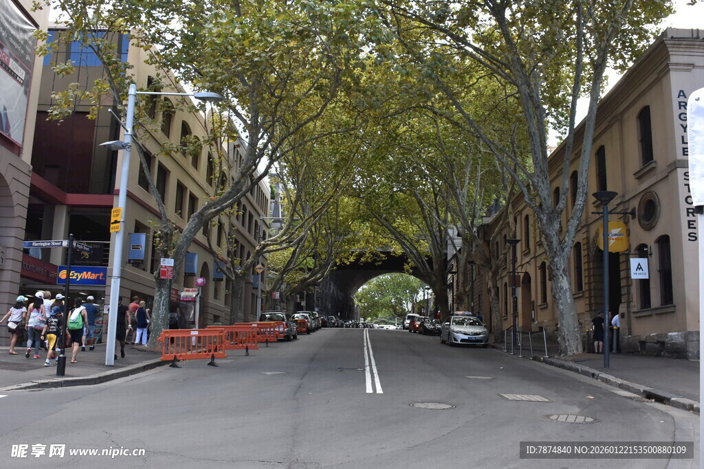 城市街道绿树成荫景象