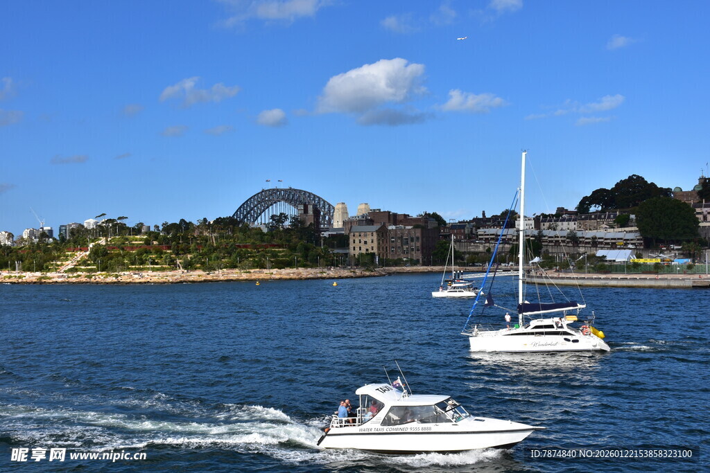 海上航行的白色船只