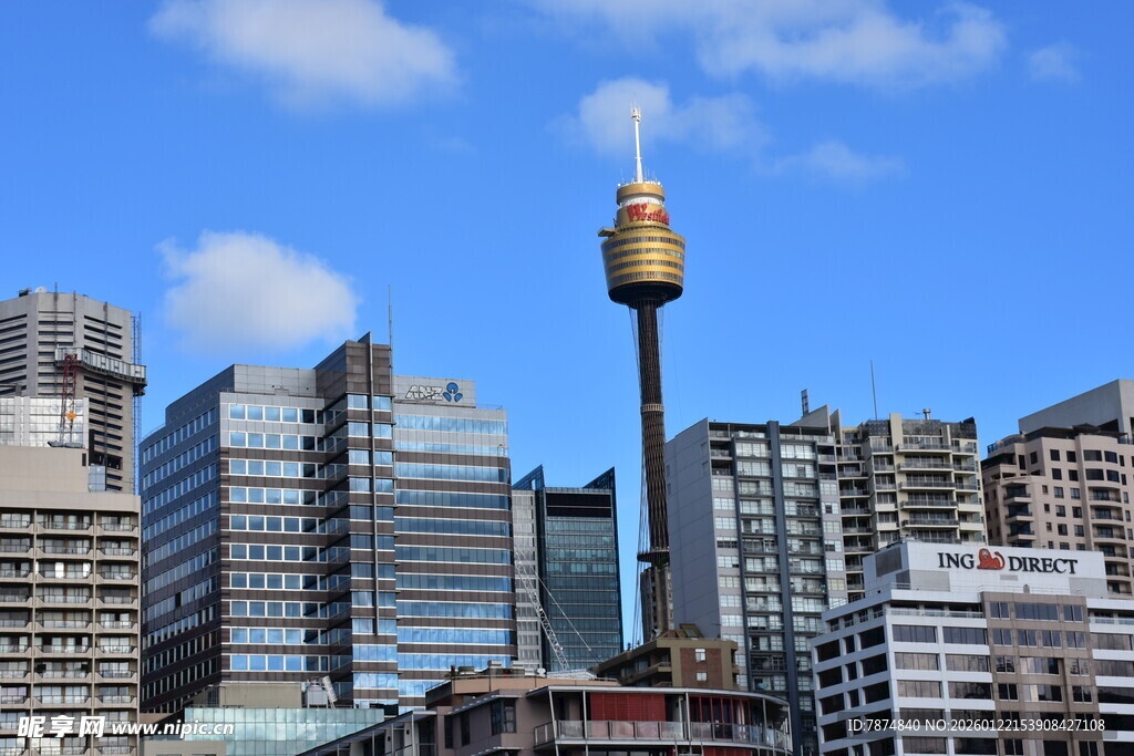 悉尼城市景观中的地标塔