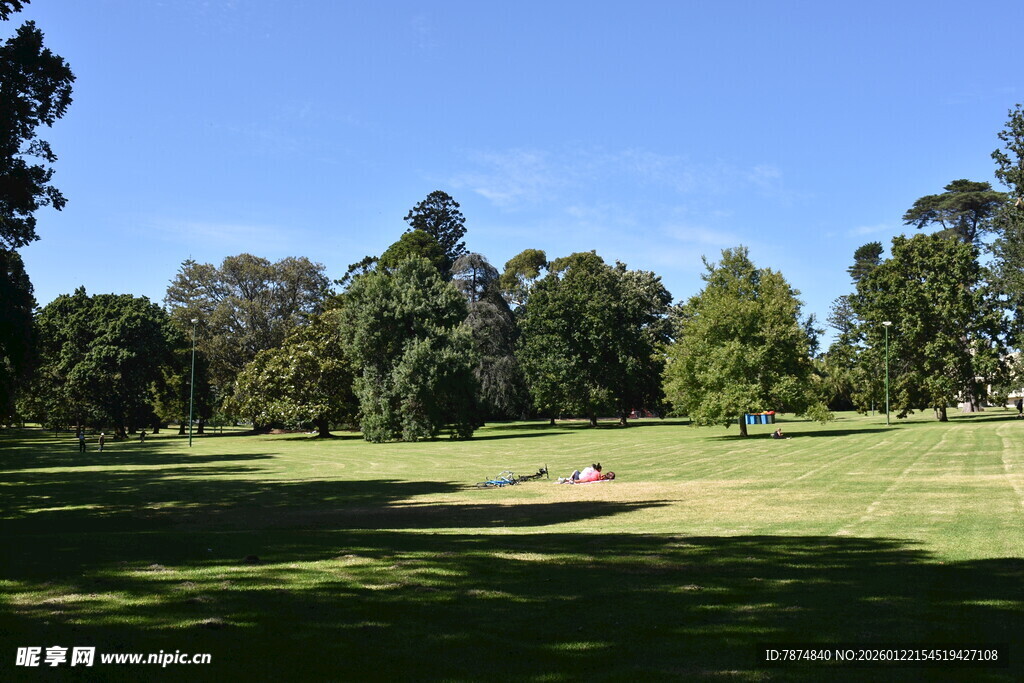 户外绿意盎然的休闲草地