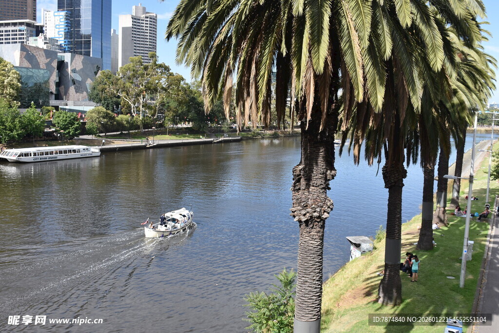 河畔风景 小船穿行绿树间