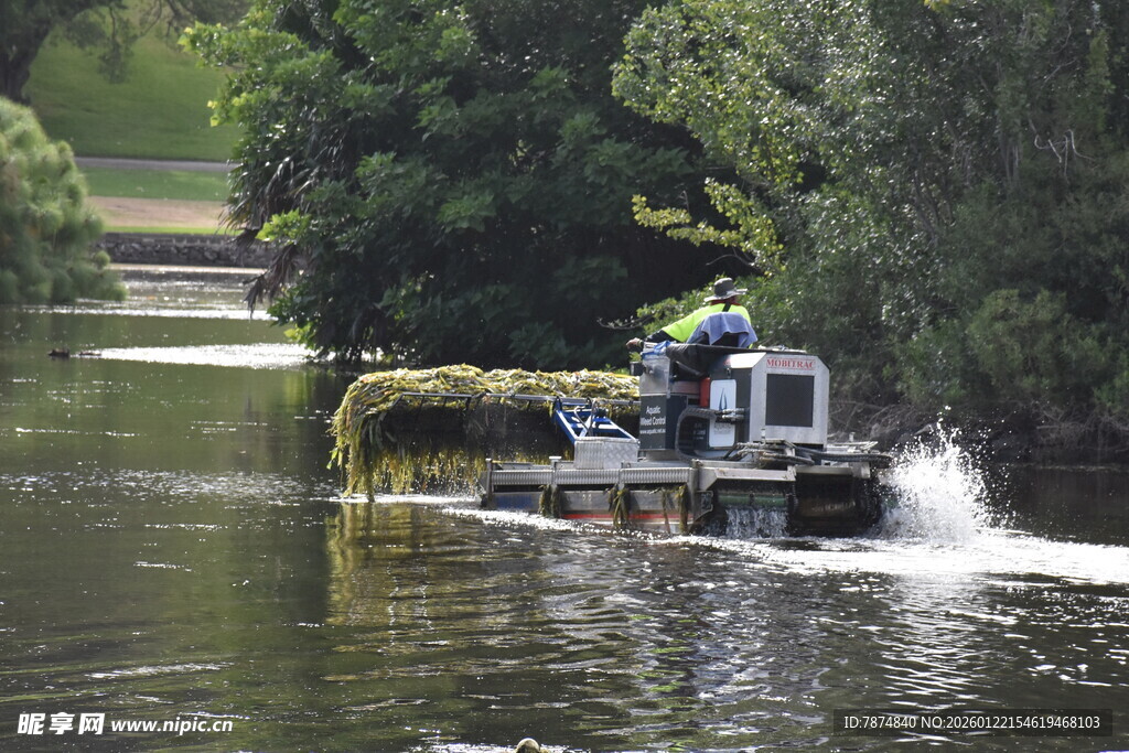 水上除草船作业场景