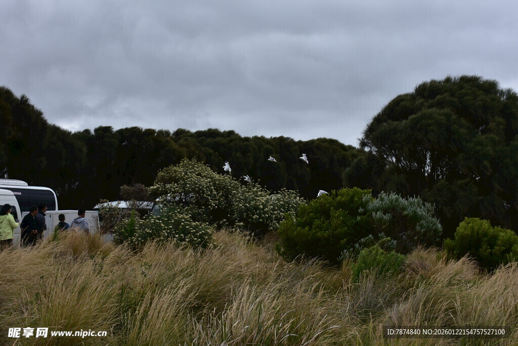 野外露营场景中的自然风貌