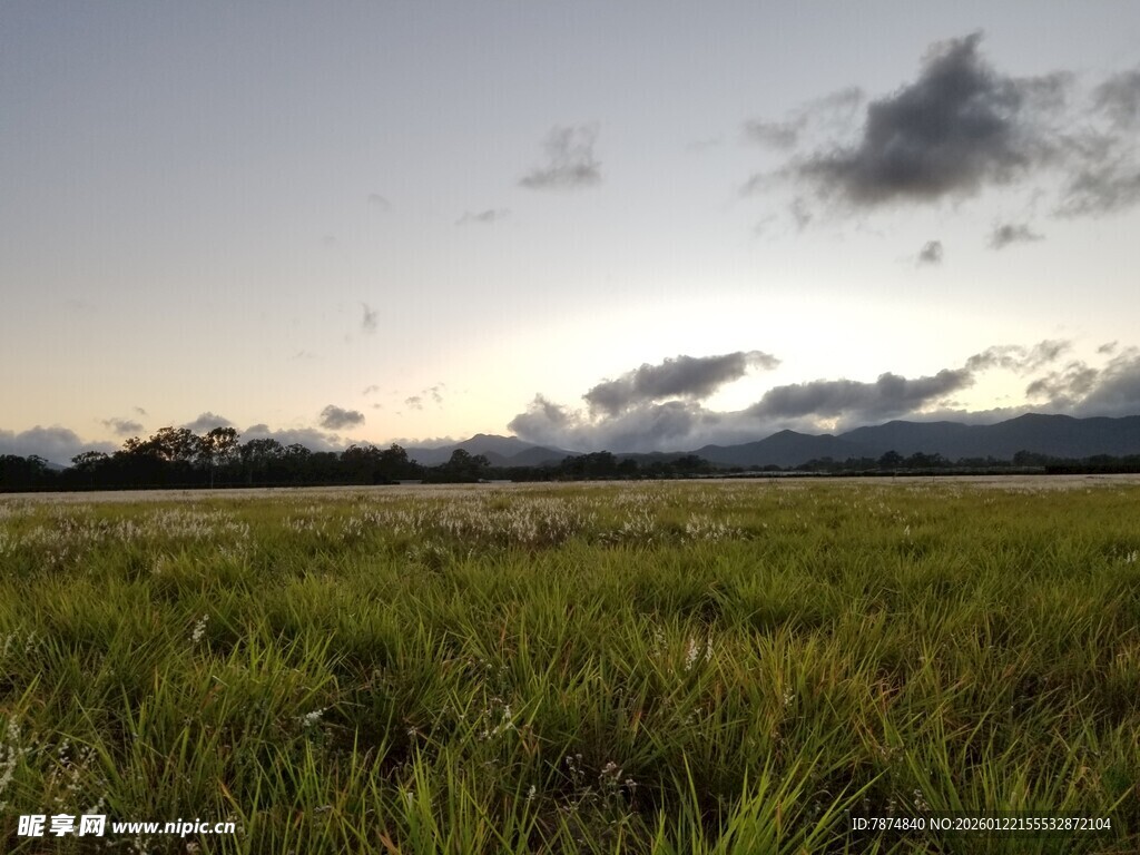 夕阳下的广袤绿色田野