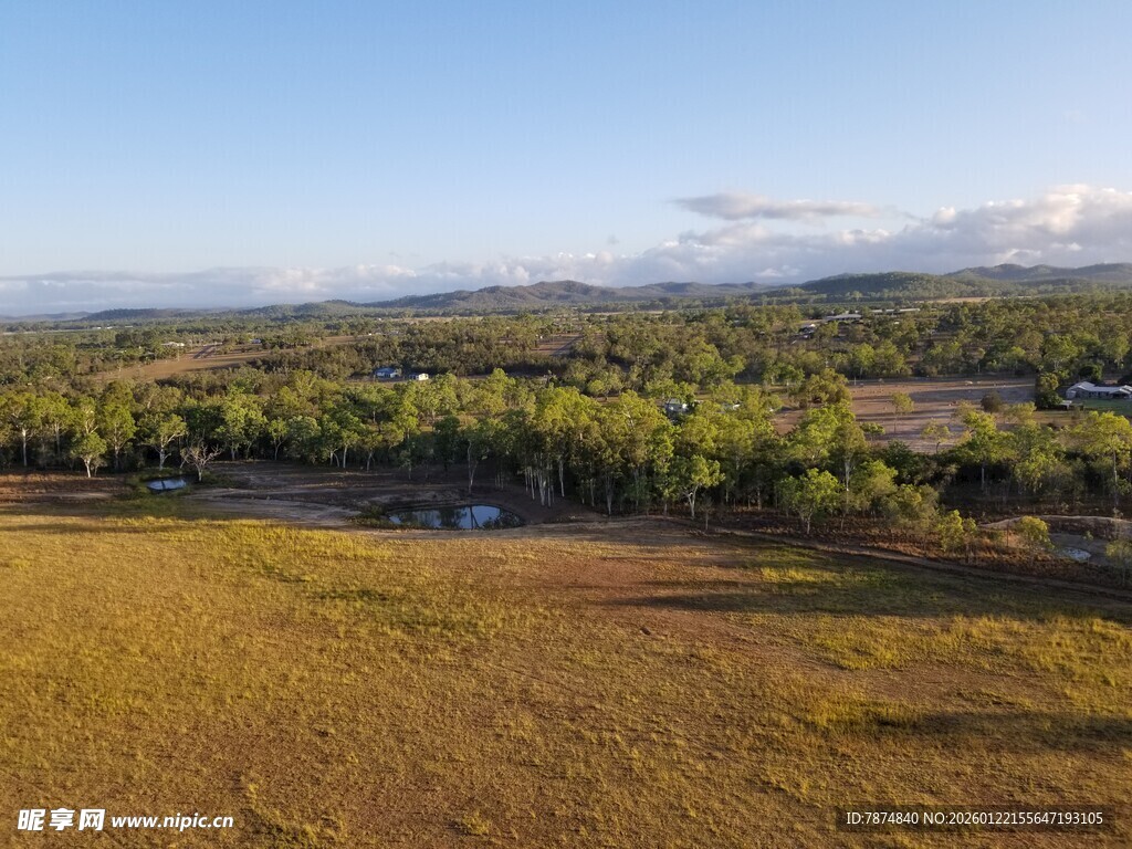 广袤原野与葱郁树林景观
