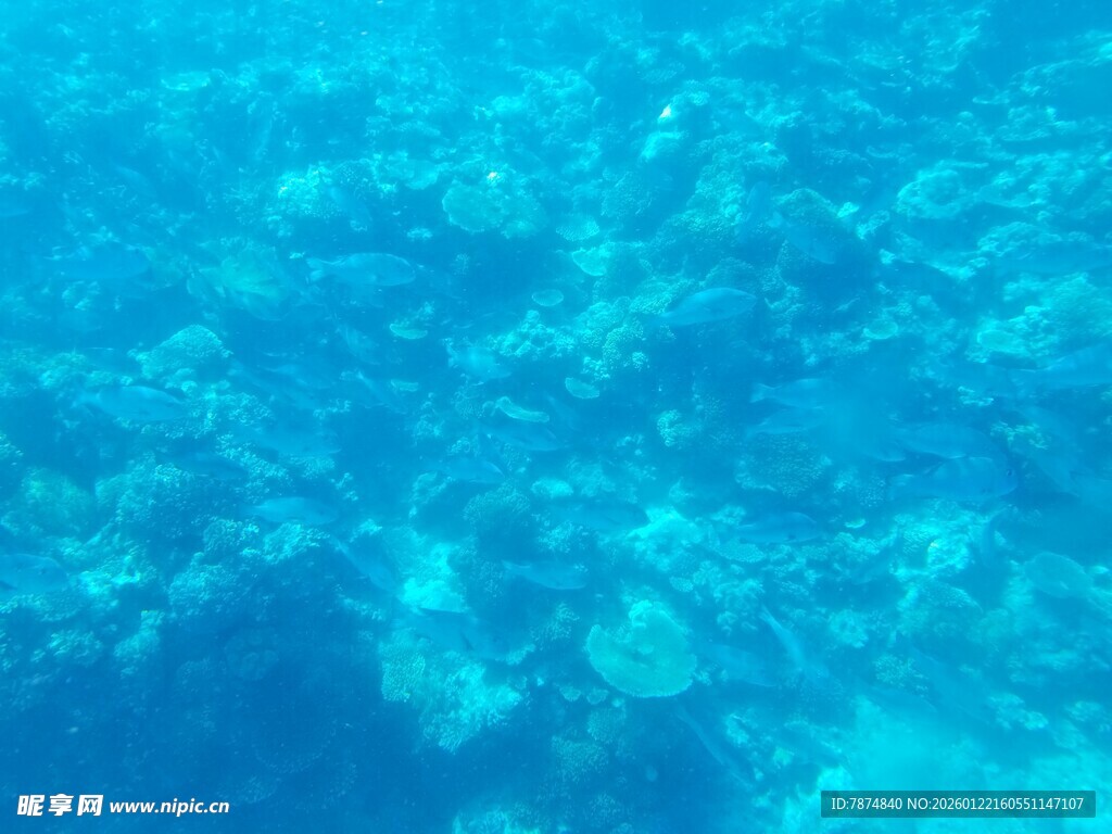 清澈海面下的蓝色光影