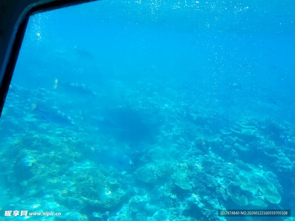 透过车窗看海底美景