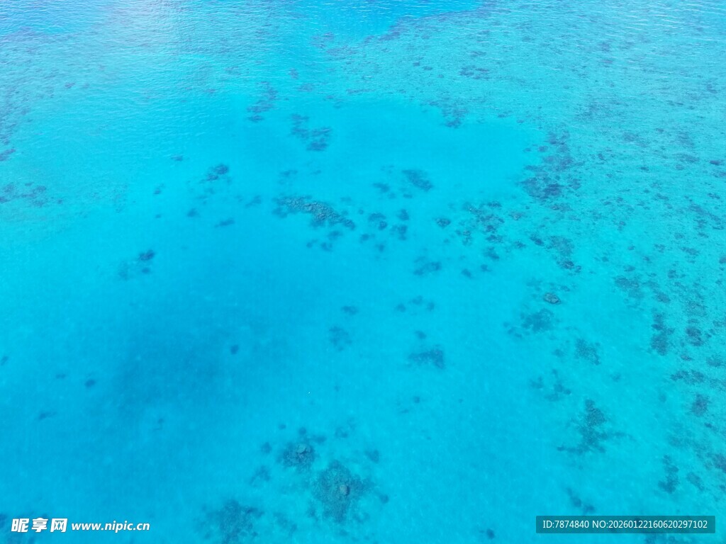 梦幻蓝色海底世界