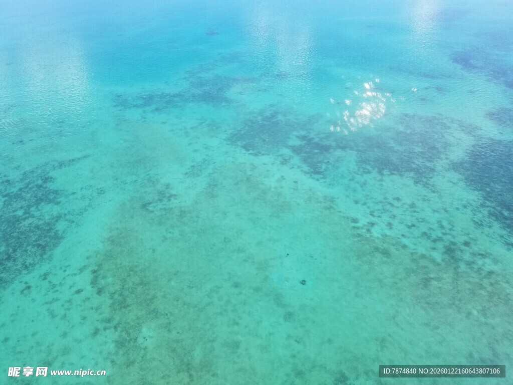 清澈海下美景 波光粼粼