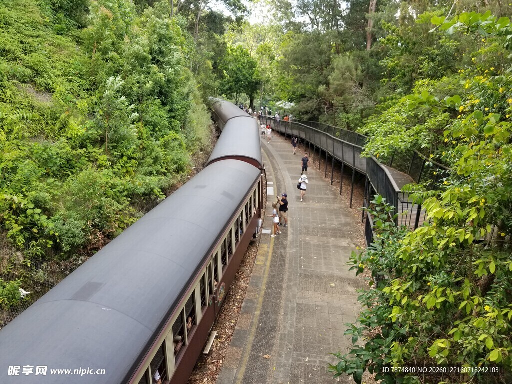 蜿蜒于丛林中的铁路轨道