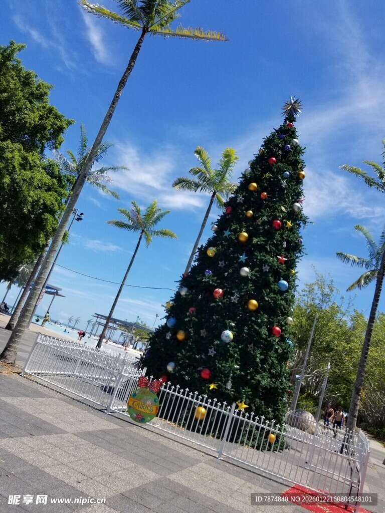 户外圣诞树装点城市景观