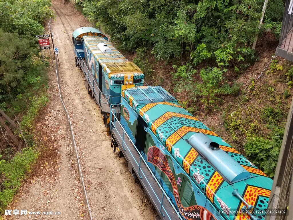 彩色火车穿行于山林间