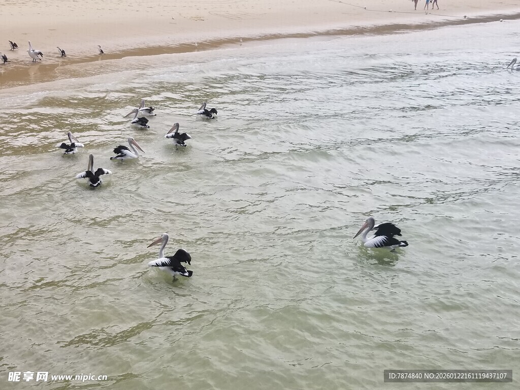 海滩上的多人水中活动