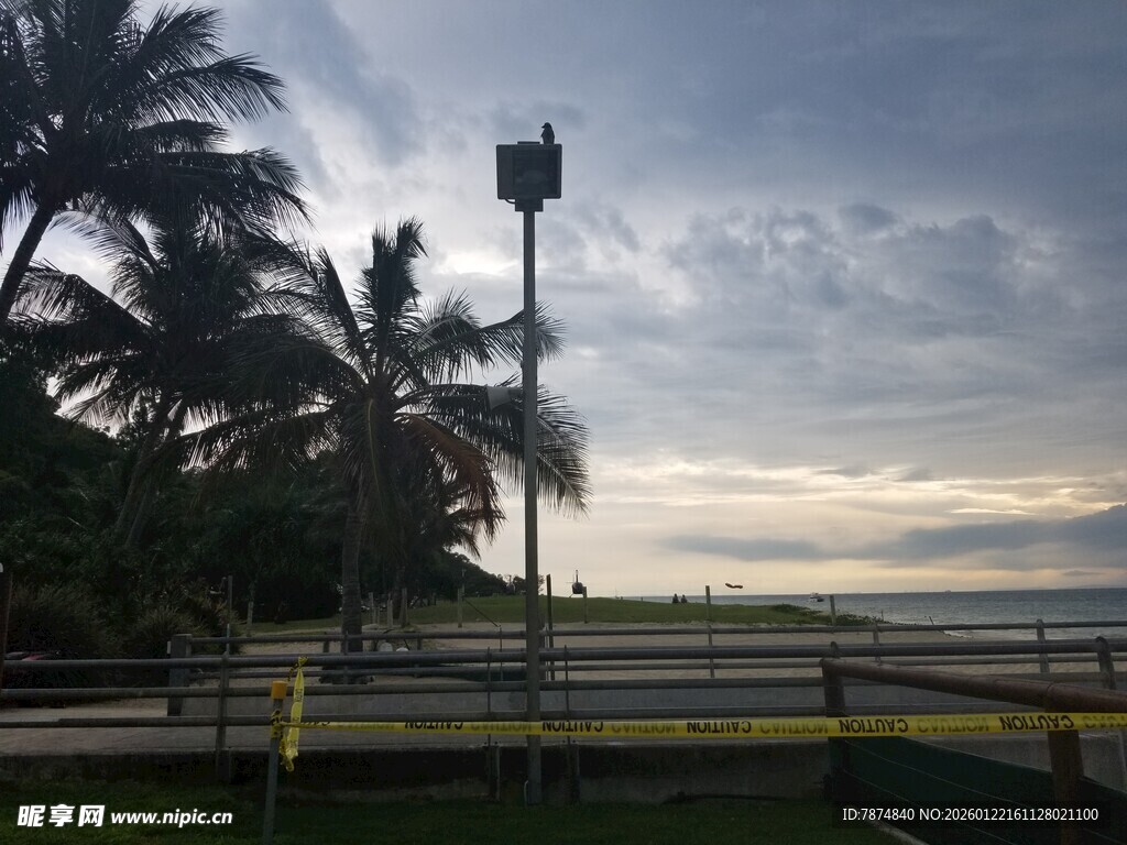 海边黄昏下的棕榈树与灯塔