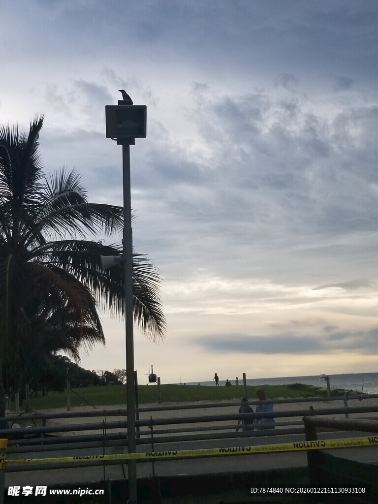 海边黄昏下的棕榈树与灯