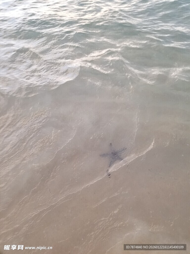 沙滩上的海浪与神秘黑影