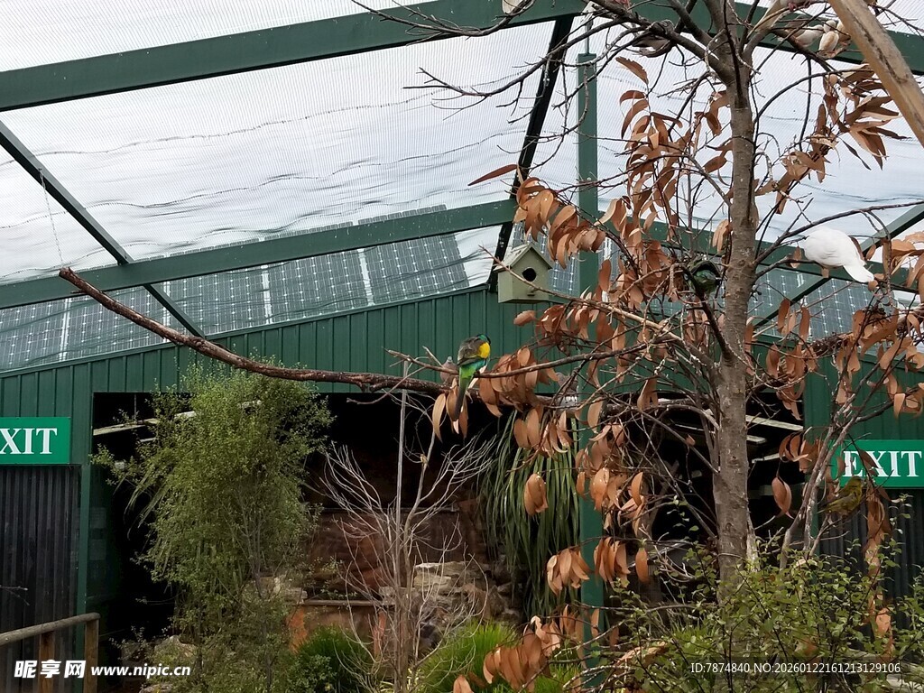 温室中的植物与标识