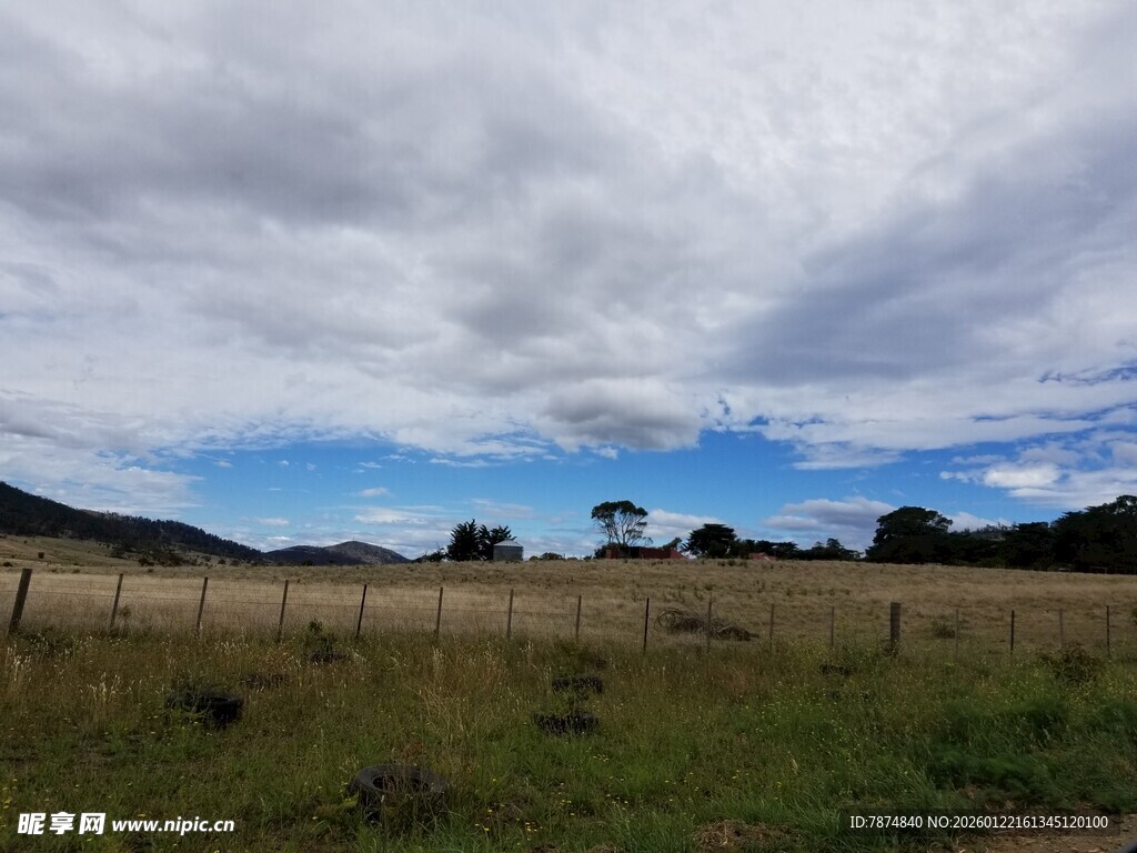 草原风光 蓝天白云下的景致