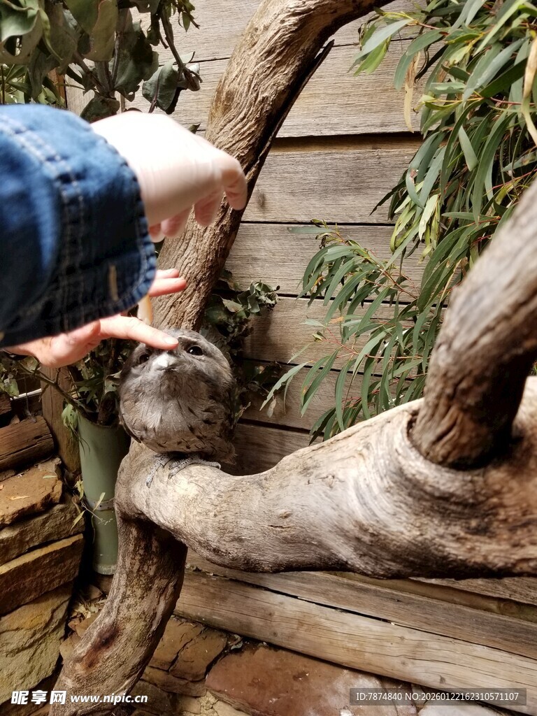 喂松鼠的温馨瞬间