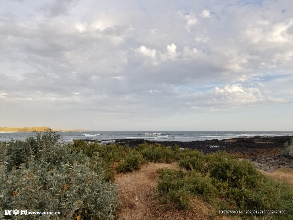 海岸边的植被与多云天空