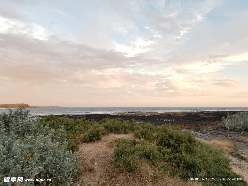 黄昏下的荒野植被景观