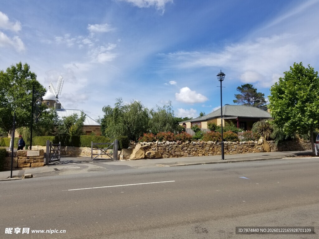 城市道路旁的自然景致