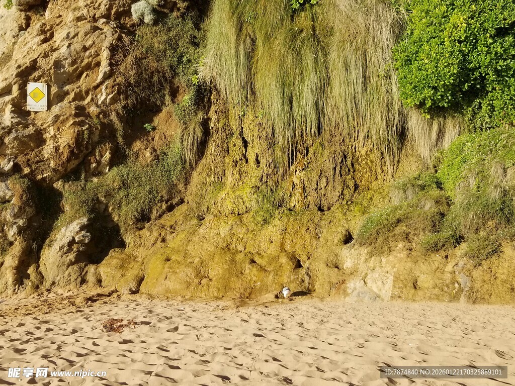 海岸边的岩石与沙地景观