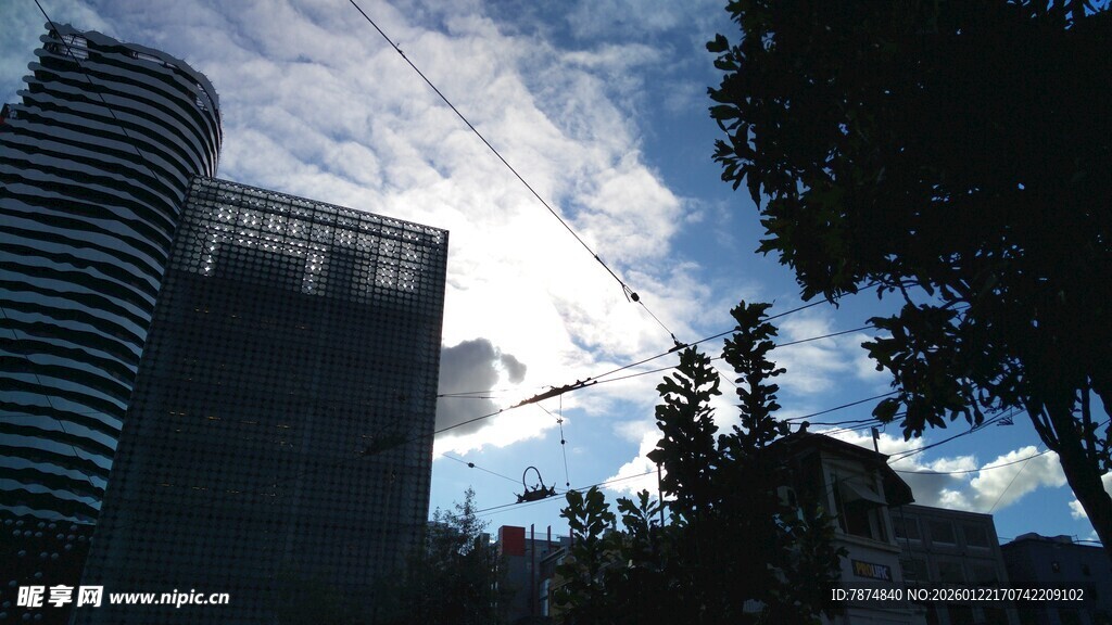 城市天空下的高楼与树木