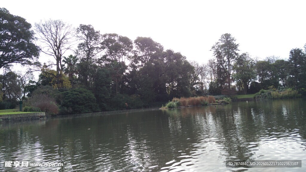 湖畔绿树环绕的宁静水域