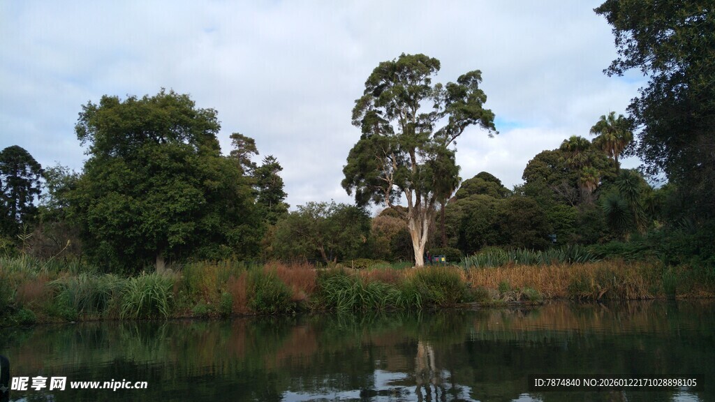 湖畔绿树成荫的自然景致
