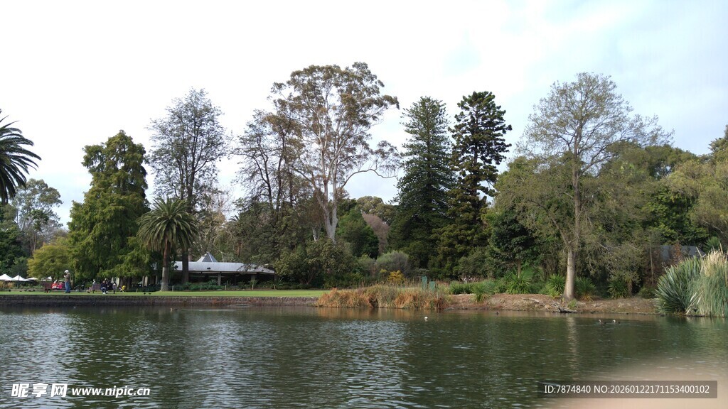 湖畔绿树成荫的自然景致