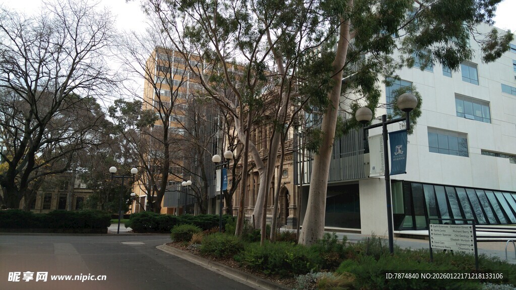 校园道路旁的建筑与树木