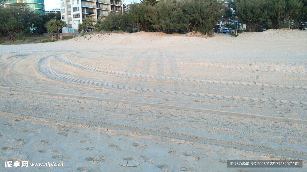 沙滩上的车辙痕迹