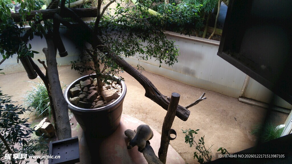 室内绿植与木质装饰景观