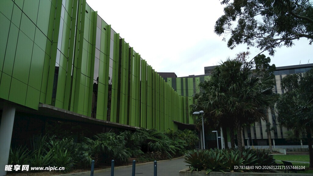绿色建筑外观与周边绿植