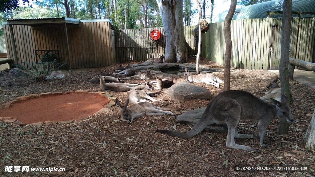 户外荒废庭院场景