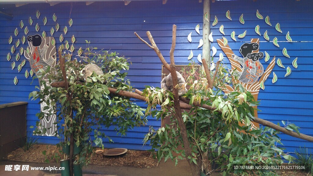 绿植装饰的蓝色墙面场景