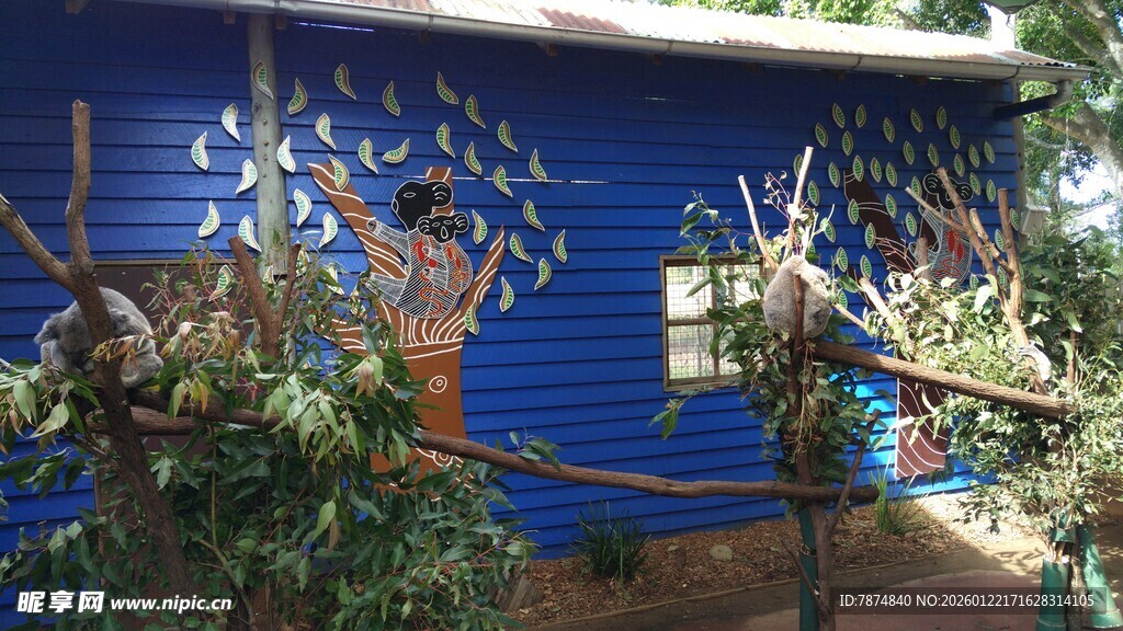 蓝色小屋旁的绿植与树枝