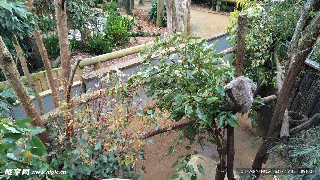 繁茂绿植环绕的户外小径