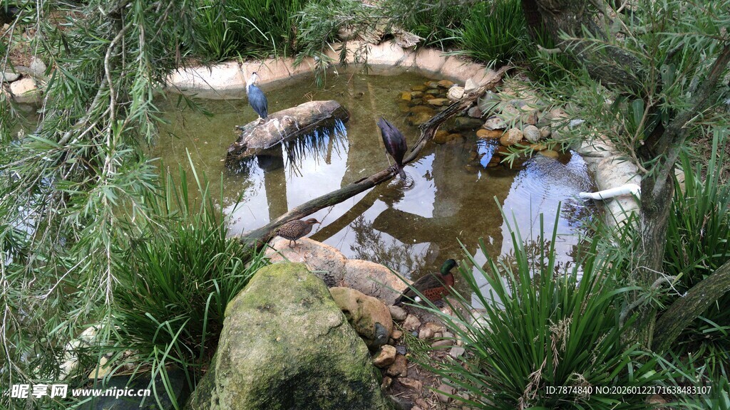 自然风户外石砌小水景